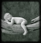 Les ptits bébé